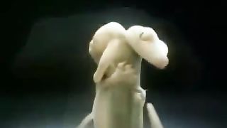 funny paint