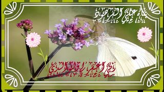 نبئ عبادي اني انا الغفور الرحيم 2