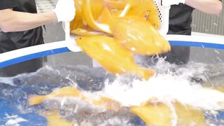 Amazing golden flounder at Korean fish farm - Korean food