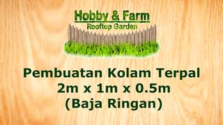 Step by Step Pembuatan Kolam Terpal 2m x 1m x 0.5m