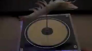 Electric_speaker