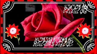 القران الكريم تلاوة تبكي القلوب