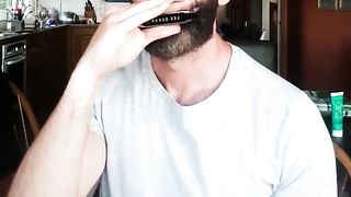 Harmonica