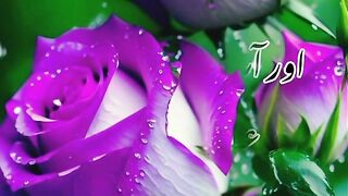 Eid Mubarak new poetry