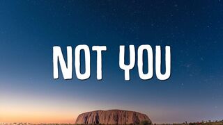 Alan Walker Emma Steinbakken - Not You (Lyrics)
