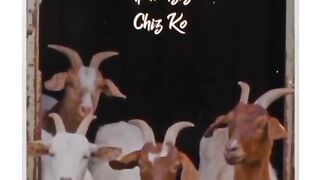 eid ul azha