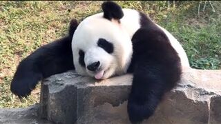 Laughs Unlimited-Funny Compilation - 1