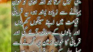 Qurbani |Hadees Mubarak | Status