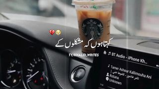 Urdu shairy and motiveshional vedio status Golden words TRUE LINES