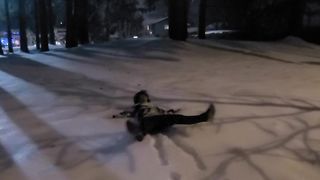 I miss Snowy days