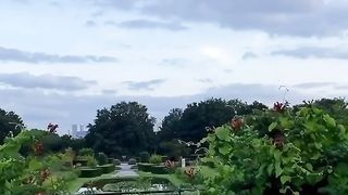 Amazing view 12