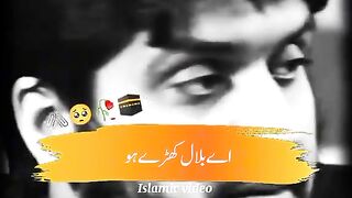 videos 55