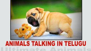 ANIMALS TALKING IN TELUGU Ultimate Animals !