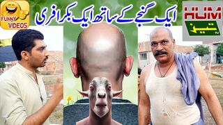 Eid Program,Funny | Eid ul Azha,soon | A goat with a bald head free | Humtez tv