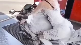 RED CHILLI TIKTOK funny