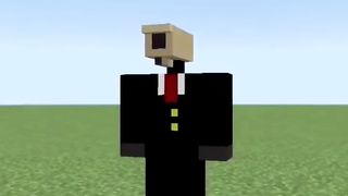 Minecraft-Wellerman-Edit-Cameraman-Skibi_19.