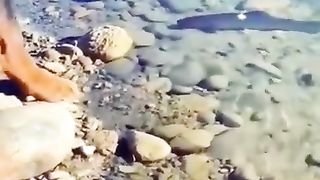 Dog fishing.