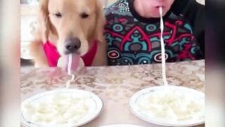 Приколи 161