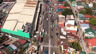 10 RARE Animals Only Found in the Philippines