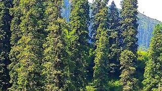 Lasdna kashmir