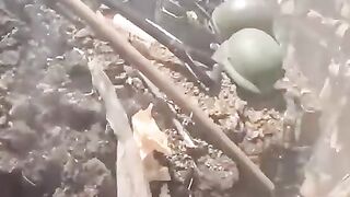 НОВИНИ 3
