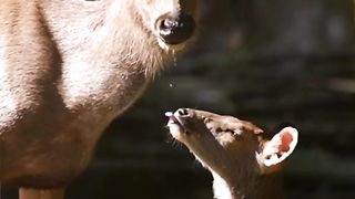 pure love of Mom ❤