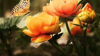 Relaxation Meditation Music for Anxiety, Quick Stress Relief, Calm the Body and Mind, Soothing Music
