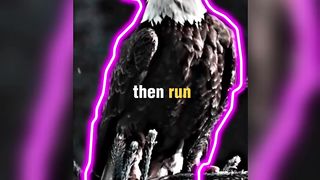 Motivational quotes 8