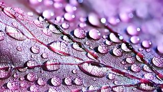 Rain Sounds and Soft Music for Sleeping, Meditation Music, Positive Healing,Relax, Guitar Music