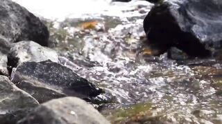 10 Minutes Calm Soothing Water Sounds, Chimes and birds for Meditation, Relaxation Music, Stress