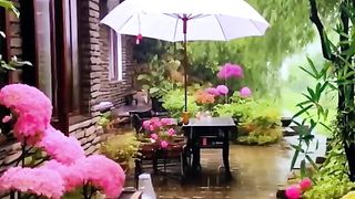 Rainy Floral Spectacle: Scenic Blossoms Under Raindrops