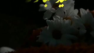 Eid Mubarak 62