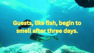 Quotes about Guests and fish
