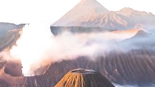 Nature 85