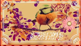 تلاوات مؤثرة من القران الكريم 2