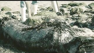 This Man Saved a Mermaid!#shorts #monster #horrorstories.