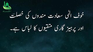 | Hazrat Ali (Rz) Aqwal e Zareen | life changing Motivation Quotes Hazrat Ali | Hadees 1236