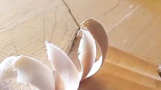 Life Hacked 11