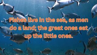 Fishes live in the sea
