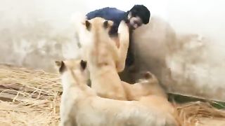 entertainment compilation 118