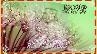 تلاوة  المرتل جودة عالية