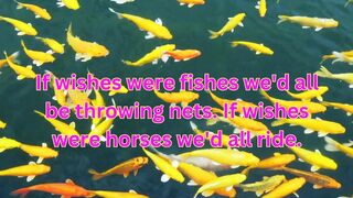 Quotes about fishes and horses