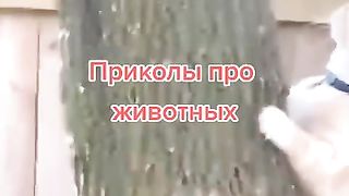 Приколи 169