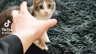 Приколи 175