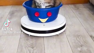 Приколи 178
