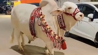 Eid Mubarak (subscribe please)