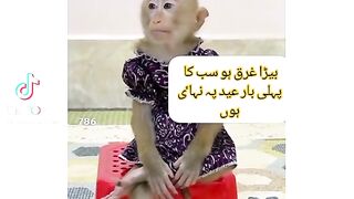 Funny video spot me 28