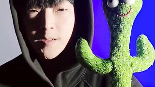 Cactus vs Beatbox