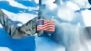 Military Funny Moments????