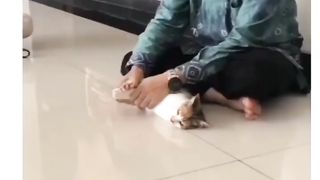 cara potong kurban idul adha
